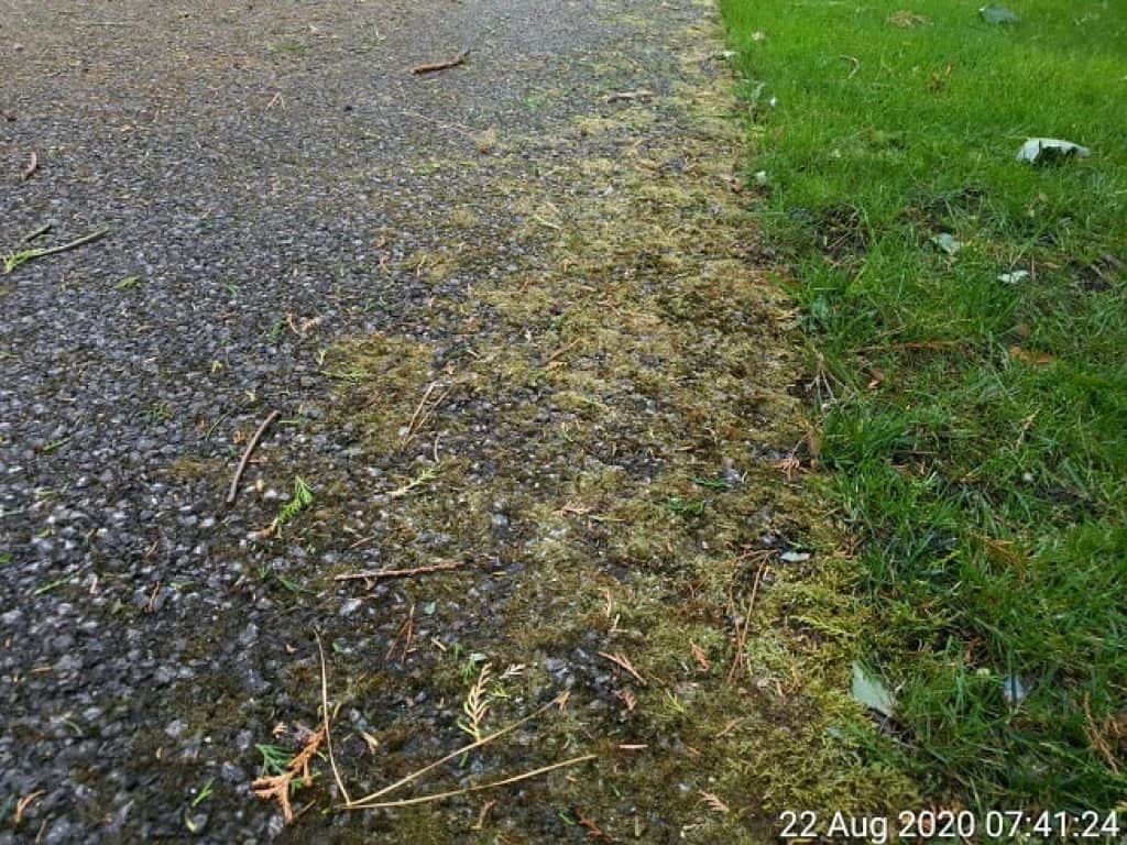 how to kill moss on tarmac drive