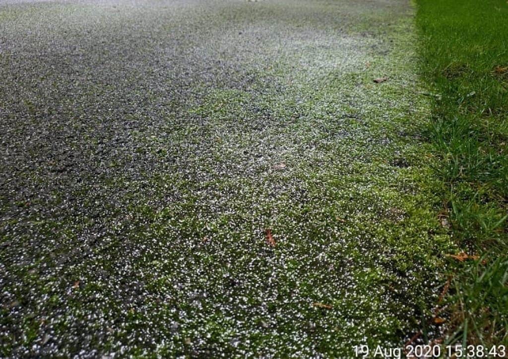 how to prevent moss growing on driveway